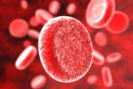 Ученые научились создавать искусственную кровь из стволовых клеток