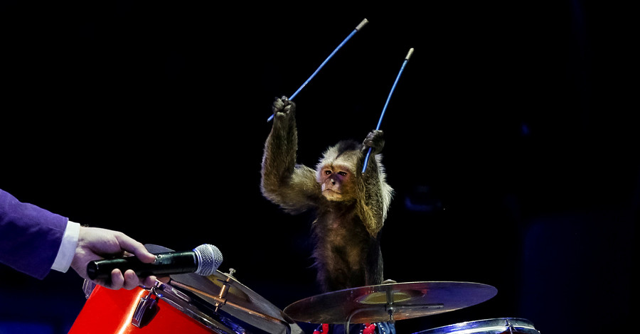 В киевском цирке новая программа 