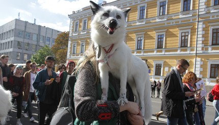 Марш за права животных.