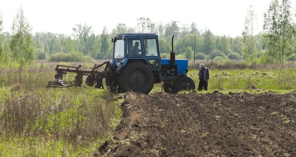 Расследованием массового отравления гербицидом на Полтавщине занялись милиция и прокуратура