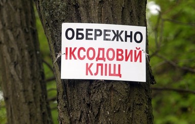 Киевлян в лесу подстерегают 