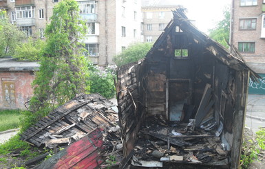 Птичий домик в Голосеево поджигали восемь раз