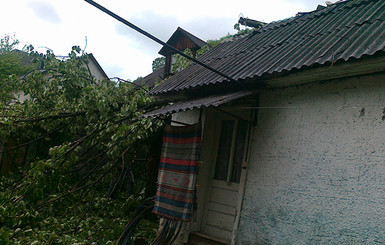 На Закарпатье сильный ветер повалил деревья