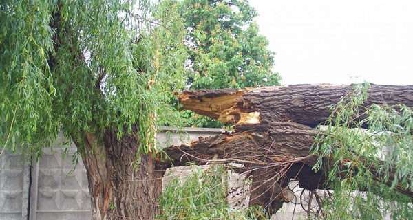 В Одесской области во время урагана погиб человек