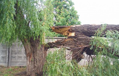 В Одесской области во время урагана погиб человек