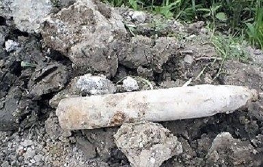 За один день в двух районах Запорожской области нашли боеприпасы времен ВОВ