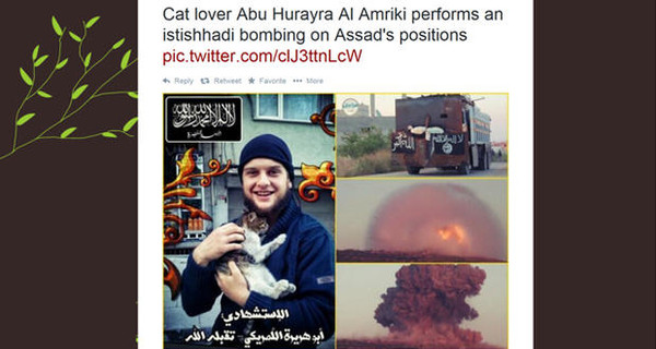 В Сирии любитель котиков устроил громкий теракт