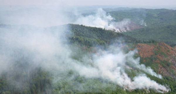 В Сибири горит почти 2 тысячи гектаров леса