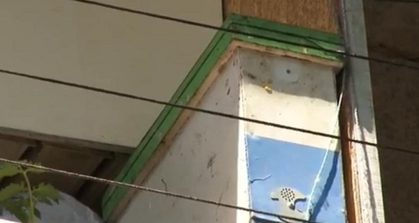 Одесситка обустроила пасеку на балконе пятиэтажки
