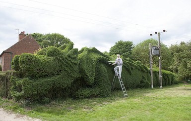 В Англии садовник создал 30-метрового дракона из кустарника