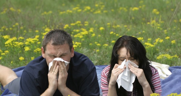 Тополиный пух, жара… аллергия