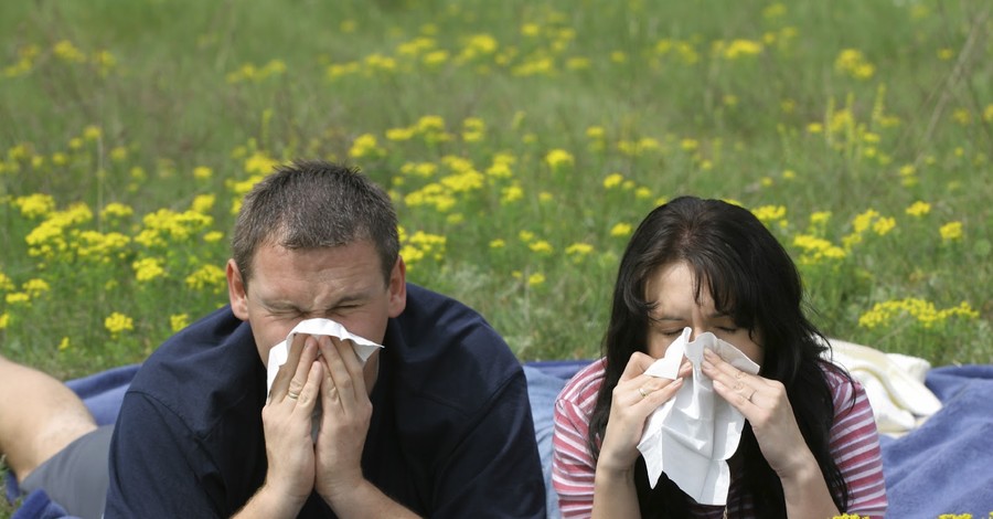 Тополиный пух, жара… аллергия