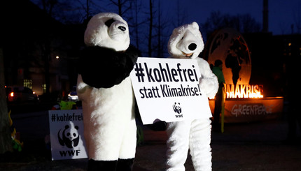 Greenpeace и WWF протестуют