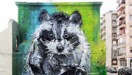 Вторая жизнь: португальский уличный художник создает картины из мусора
