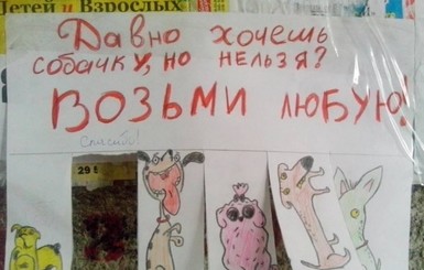 В Одессе с рисунков на столбах предлагают сорвать собачку и лекарства