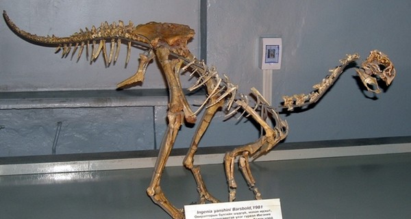 США вернули Монголии похищенные останки 18 динозавров