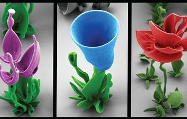 Сад на дне стакана: ученый из Гарварда дарит любимой цветы из нанокристаллов