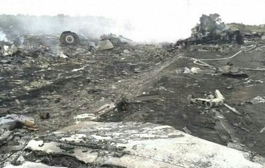 Порошенко назвал катастрофу самолета терактом