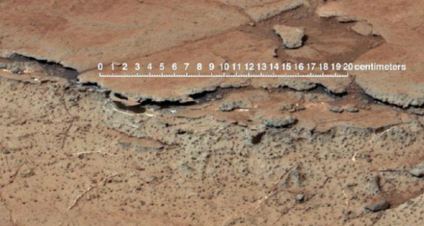 В грунте Марса может быть жизнь
