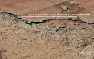 В грунте Марса может быть жизнь