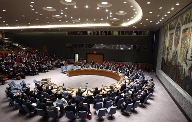 Совбез ООН принял резолюцию по крушению Боинга