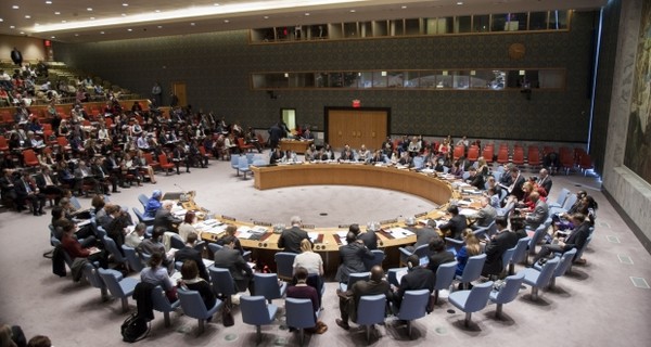 Совбез ООН единогласно принял резолюцию по Боингу 