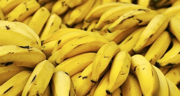 Зеленые бананы гораздо полезнее спелых