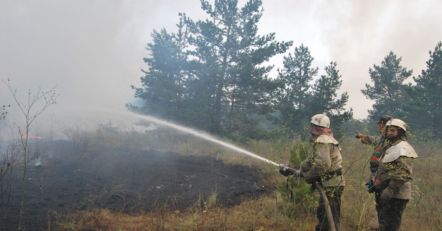 Лесной пожар на Днепропетровщине тушили 7 часов
