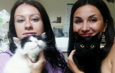 В Днепропетровске для мурлыки-инвалида деньги на лечение заработала кошка Муська 