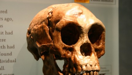 На Филиппинах нашли останки древних людей неизвестного вида
