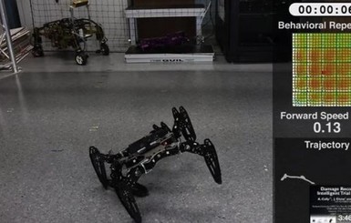 Программисты научили выживать робота-инвалида