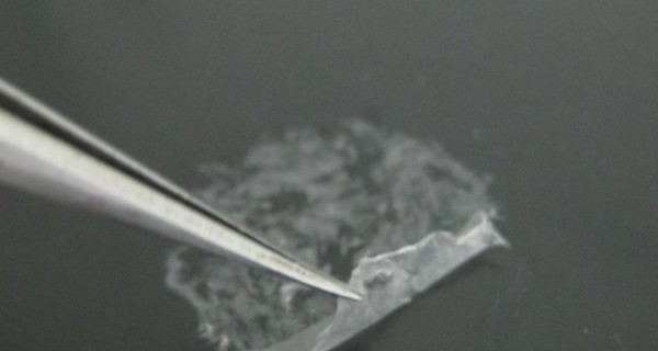 Ученые разработали нанопластырь для лечения ран