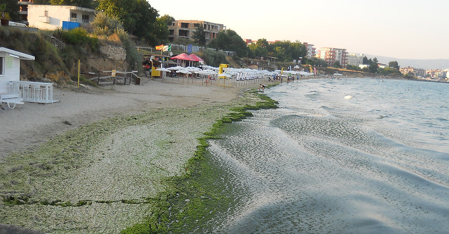 Пляжи Болгарии 