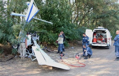 На Днепропетровщине самолет рухнул на дерево