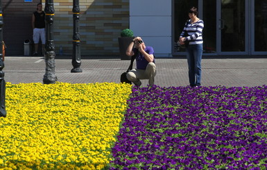 В Харькове украинский флаг стал желто-фиолетовым