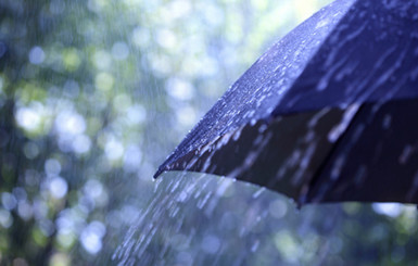 В четверг, 28 августа, местами пройдут дожди и грозы