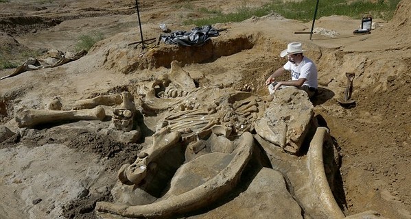 В США фермер откопал скелет мамонта, которому 60 тысяч лет
