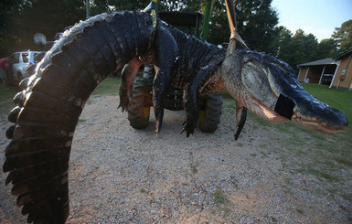 Самого большого в мире аллигатора поймали в США