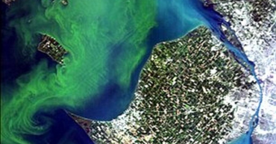 США начало наблюдать из космоса за цветением водорослей, чтобы предотвратить болезни 