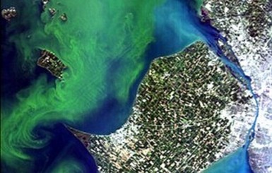 США начало наблюдать из космоса за цветением водорослей, чтобы предотвратить болезни 