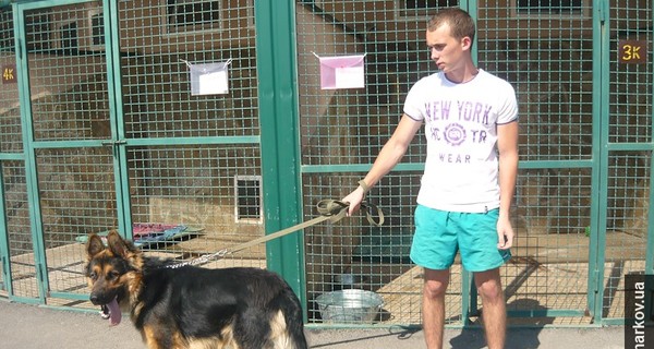 В Харькове для собак и котов из зоны АТО работает общежитие   