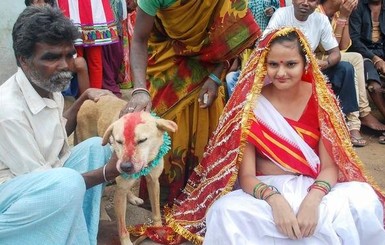В Индии сыграли свадьбу девушки и собаки