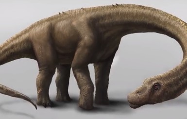 Восстановлены останки гигантского динозавра весом 65 тонн