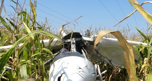 В Черниговской области упал самолет