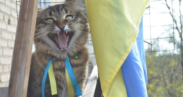 В Харькове скандалят из-за украинской символики