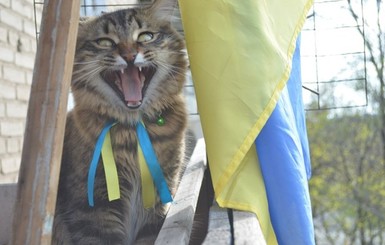 В Харькове скандалят из-за украинской символики