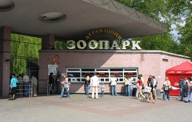 Кличко уволил директора Киевского зоопарка