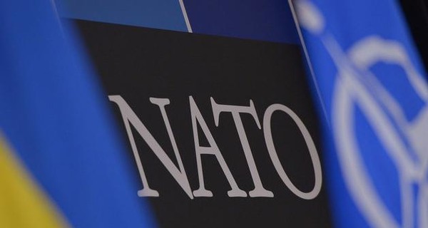 Расмуссен: НАТО не признает выборы в Крыму