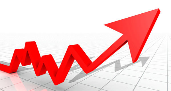 Официальный уровень инфляции на 2014 год составил 10,7 процента
