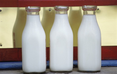 Россияне решили завозить молоко и сыр из Африки